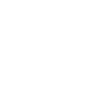 Ícone Invisible Meaning Branco_no_margin